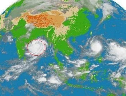 颱風為什麼是逆時針 玉蘭樹風水
